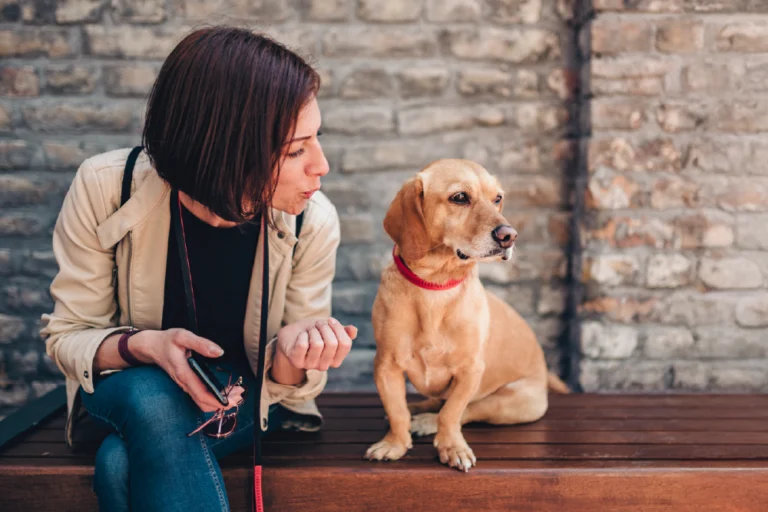 I cani capiscono ciò che diciamo?