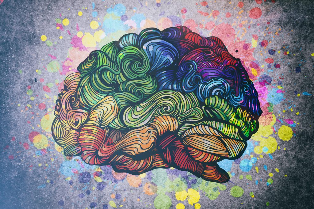 immagine di un cervello stilizzata e colorata