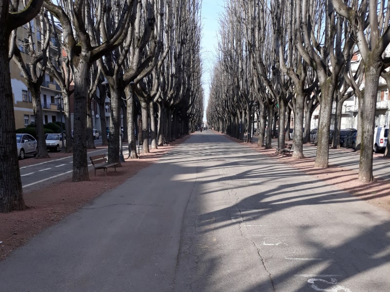 Viale Rimembranza a Vercelli