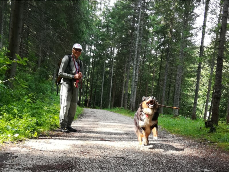 Un uomo e un cane a passeggio nei boschi