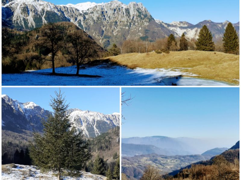 Paesaggio dell'Altopiano delle Montagnole, Vicenza