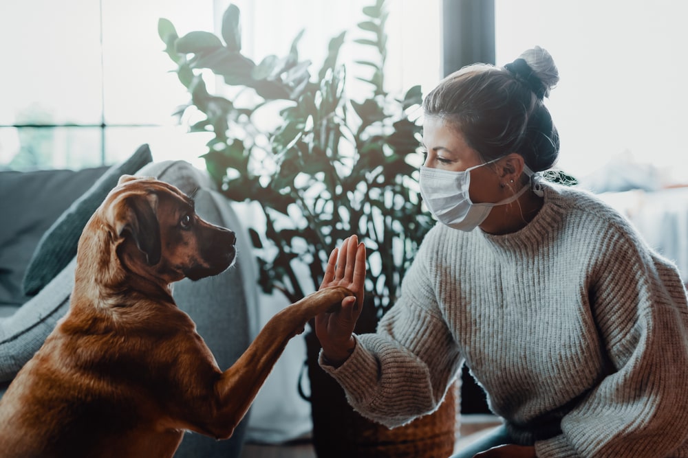 Gesto di affetto fra una donna con la mascherina e un cane