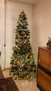 L'elegante Albero 3é classificato al Concorso di 50&Più Bari