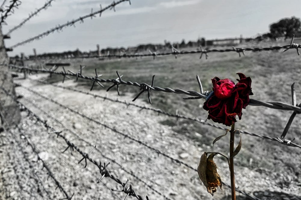 Giornata della memoria 2022