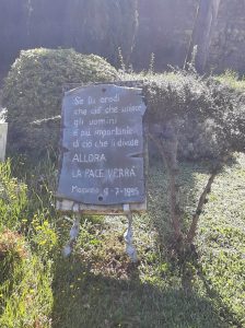 Camminata della serenità sui Colli Berici