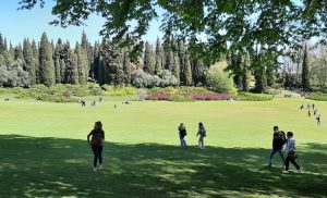 50&Più Piacenza a in primavera nel Brenta e al Parco Sigurtà