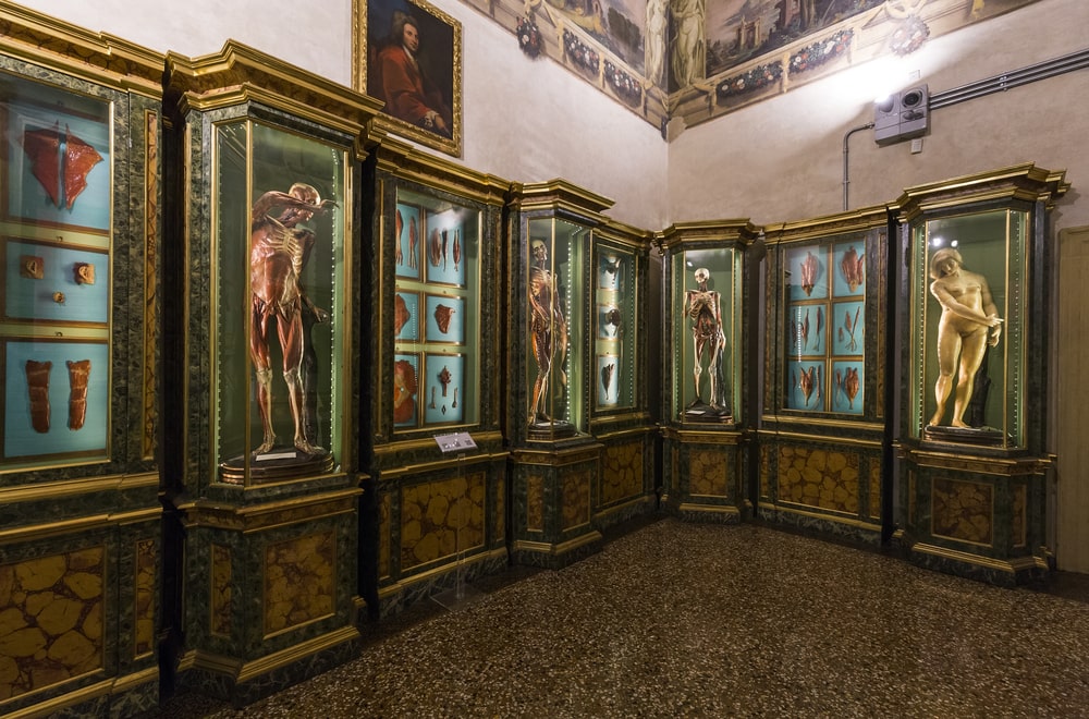 50&Più Bologna propone ai soci una visita a Palazzo Poggi