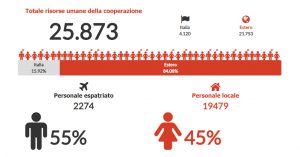 La distribuzione delle risorse umane nelle ONG