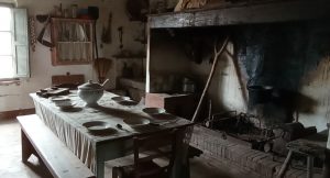 50&Più Arezzo alla visita alla fattoria stoica