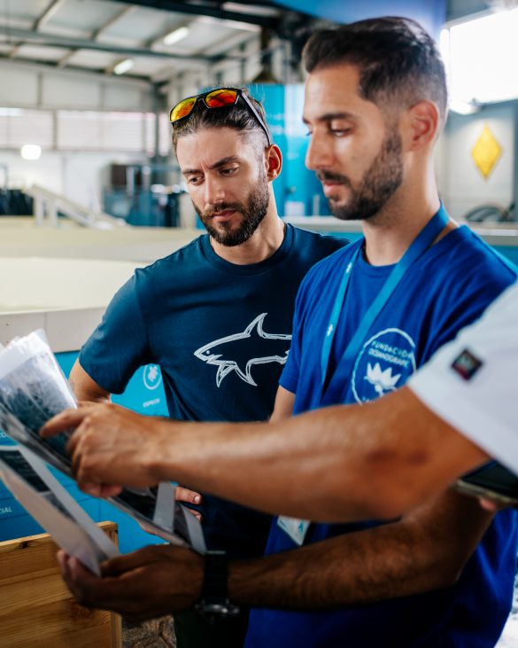 Andrea e Marco Spinelli