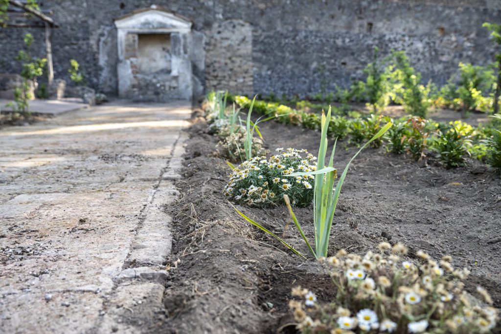 Rinasce a Pompei la Casa del Giardino di Ercole, dove storia e botanica si incontrano