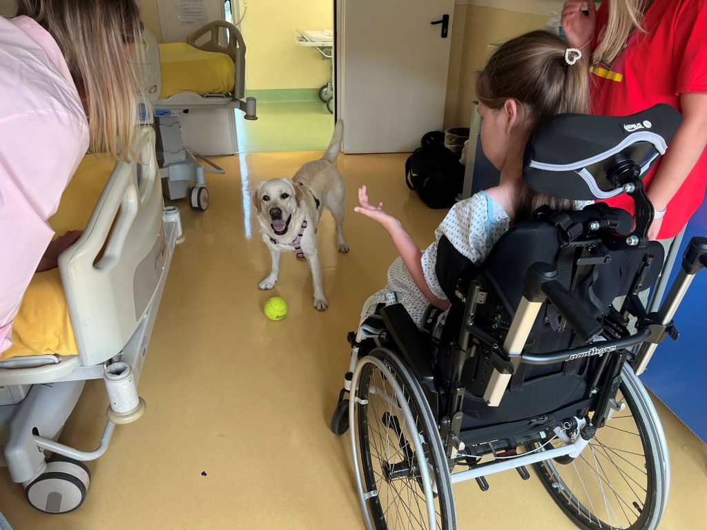 Pet therapy e bambini con disabilità: l'esempio dell'Istituto Carlo Besta
