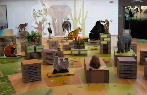 Il Parlamento della Biodiversità COP17: al MUSE di Trento votano tutte le specie viventi