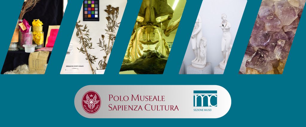 Maggio Museale Sapienza 2026: tra arte, scienza e meraviglia