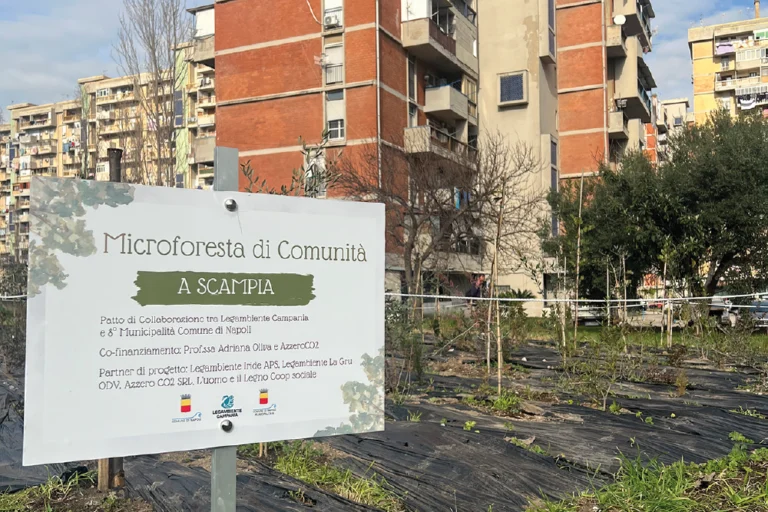 Un bosco di mille colori per il futuro di Scampia