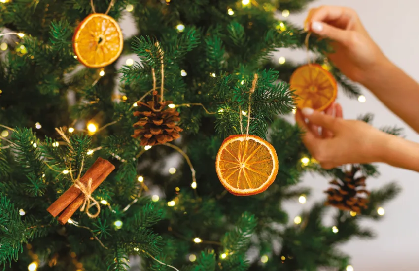 Dall’albero alla tavola: istruzioni per una festa a impatto zero