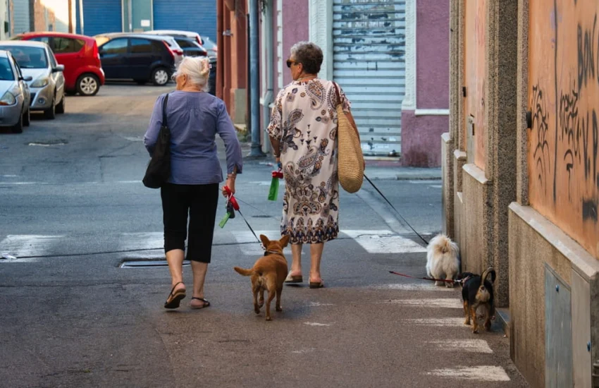 A Milano nasce il Garante dei diritti degli anziani