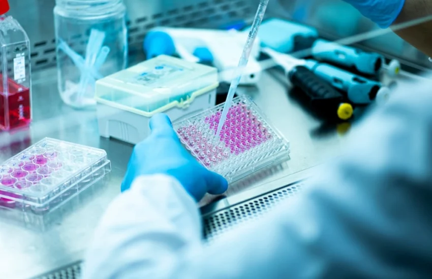 Nasce la prima banca di staminali dedicata alla ricerca sull’Alzheimer