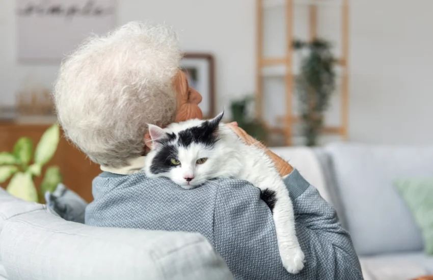 Animali da compagnia: oltre l’affetto anche un risparmio per la sanità pubblica