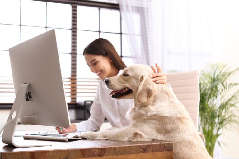 Animali domestici, due lavoratori su tre li vorrebbero con sé al lavoro