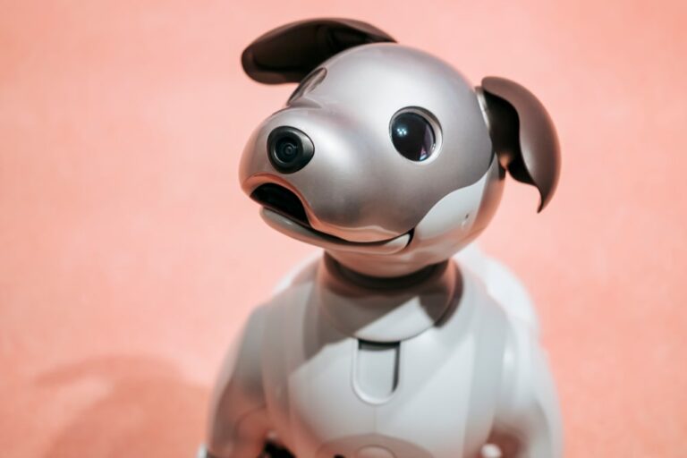Animali robot nelle Rsa: la sperimentazione canadese
