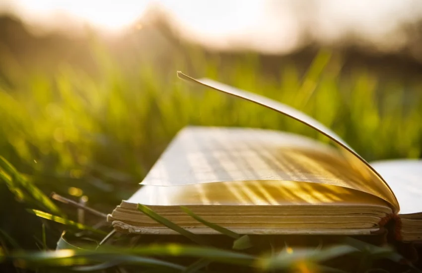 Arezzo. Con il Piccolo Principe nel Giardino dei libri