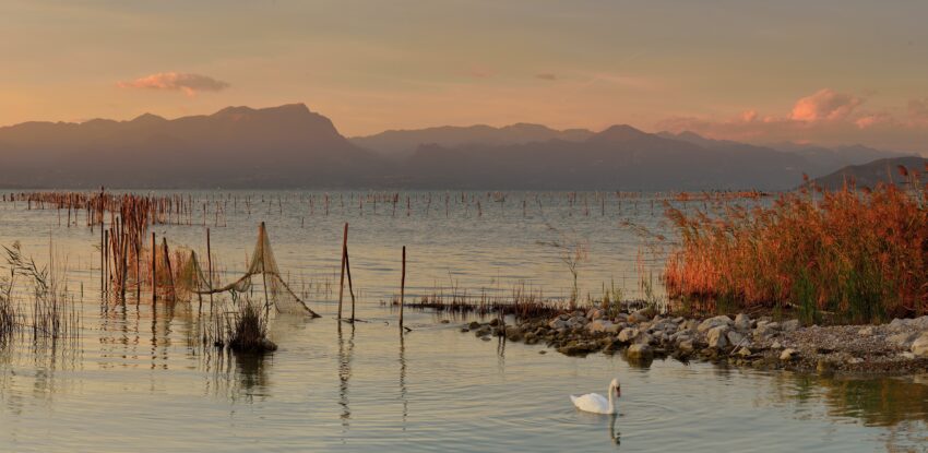 Autunno 56 (1)