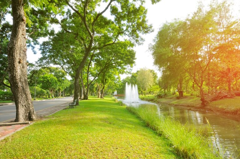Natura e salute, i benefici delle aree verdi nella prevenzione