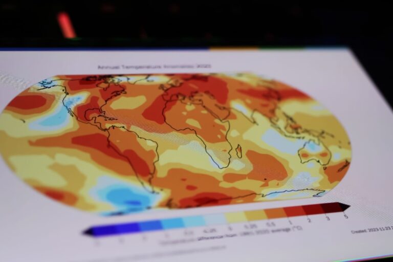 Caldo record, la temperatura del pianeta in continuo aumento