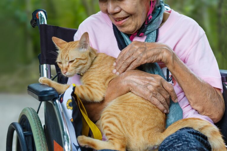 Cani e gatti nelle residenze per anziani: il progetto del Campidoglio