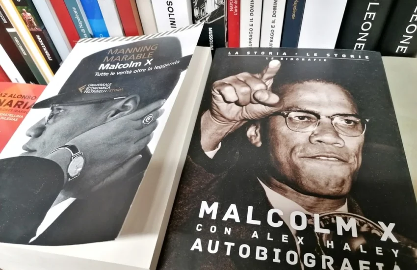 Chi ha ucciso Malcom X?
