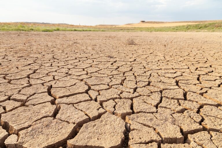 Contro la desertificazione e la siccità, l’impegno dell’ONU
