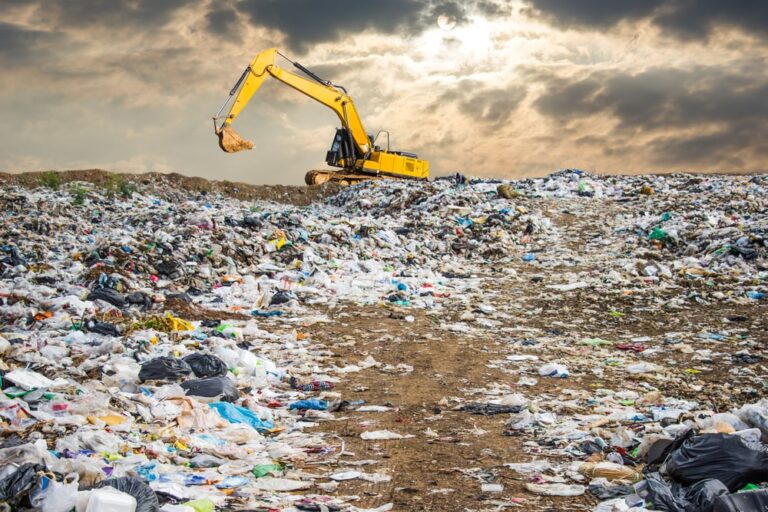 Rapporto Ecomafia 2025 di Legambiente: in crescita reati e corruzione
