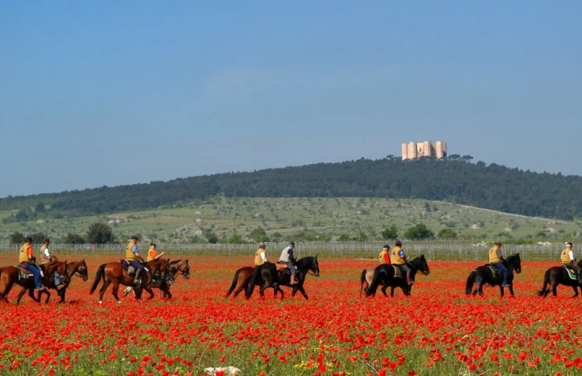 Aumenta il turismo equestre in Italia