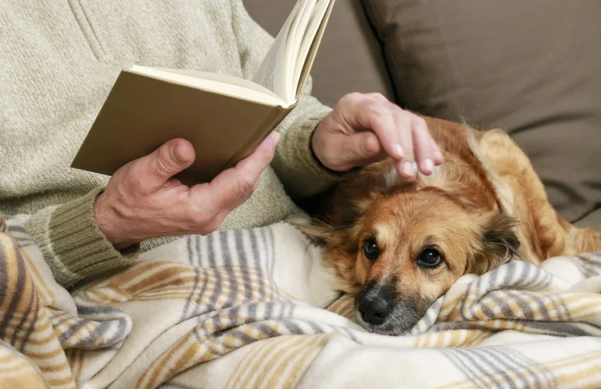 Fido in affido: una storia di affetti ritrovati