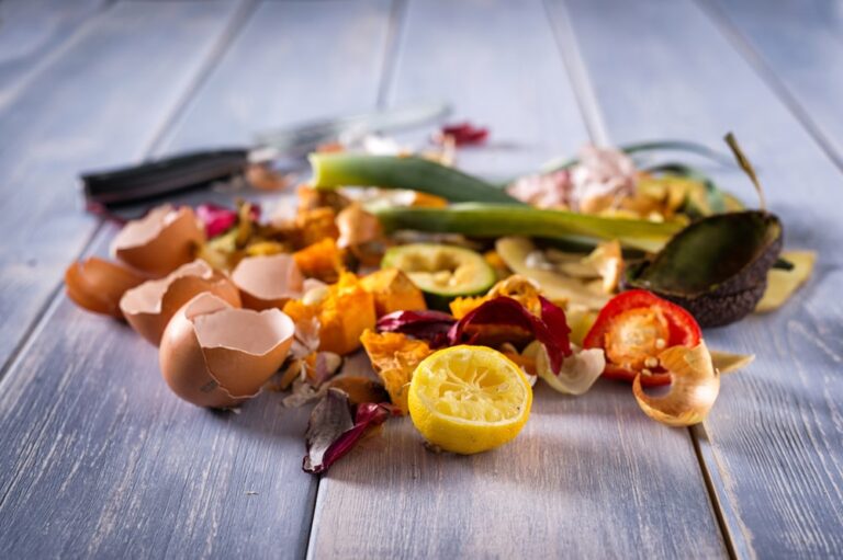 Giornata Nazionale contro lo Spreco Alimentare: i dati italiani