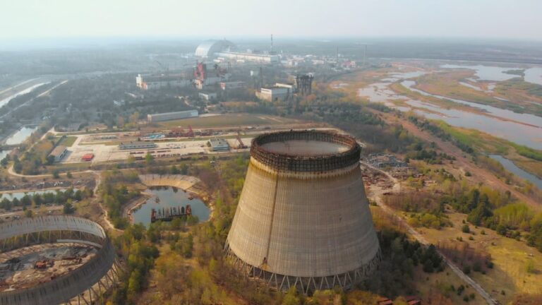 Il fungo nero di Chernobyl, una barriera naturale contro le radiazioni