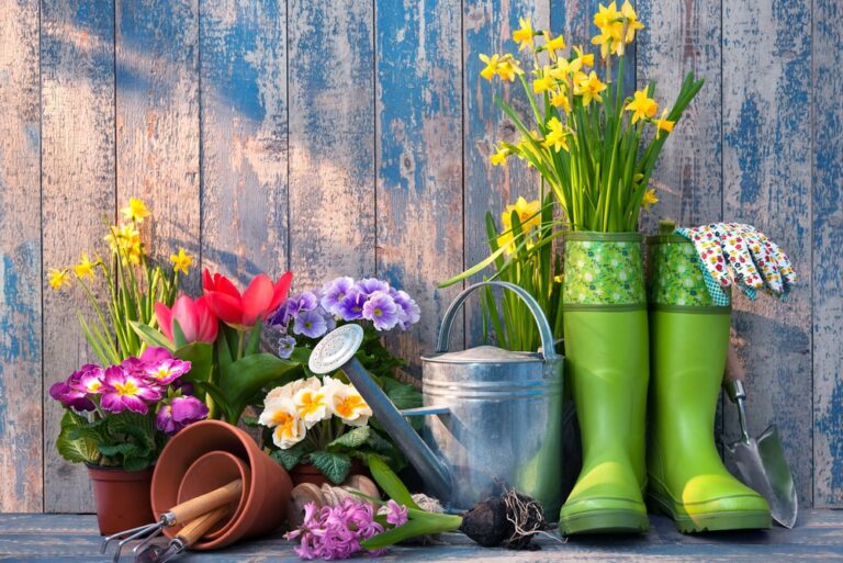 Il giardinaggio come valido rimedio per combattere malumore e ansia