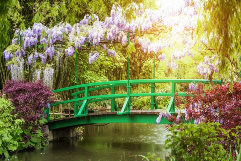 Gilbert Vahé, l’uomo che ha salvato il giardino dell’impressionista Monet