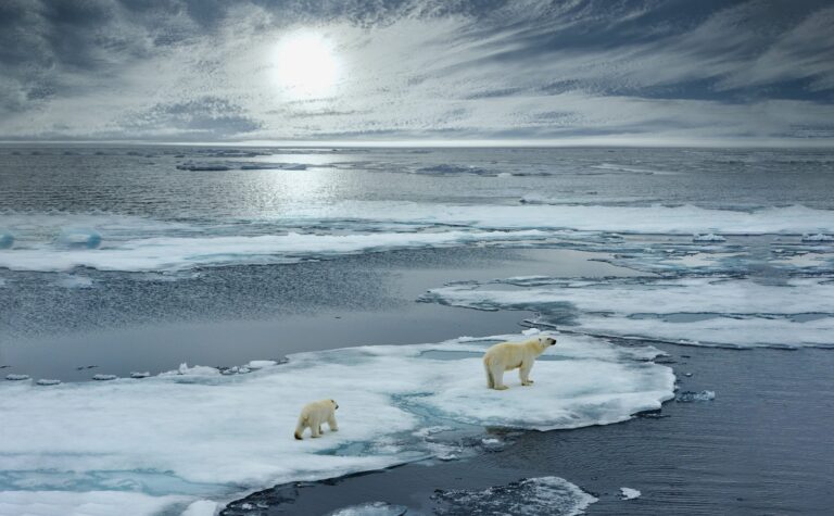 Gli scienziati invitano i media a parlare dei cambiamenti climatici