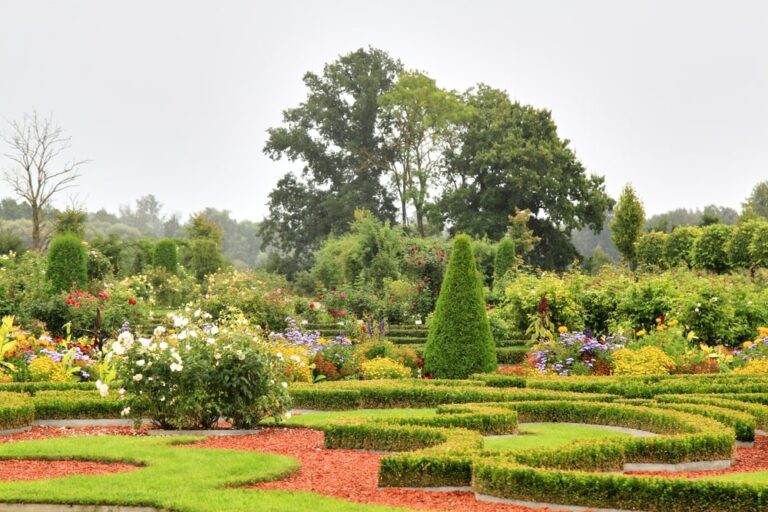 Healing garden: gli spazi verdi per la cura e il benessere