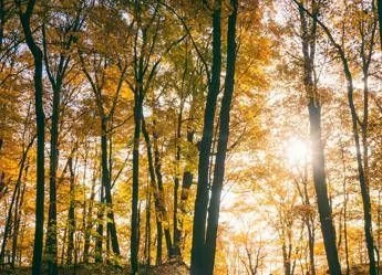 Il maltempo molla la presa, torna l’anticiclone e salgono le temperature: la tendenza dei prossimi giorni