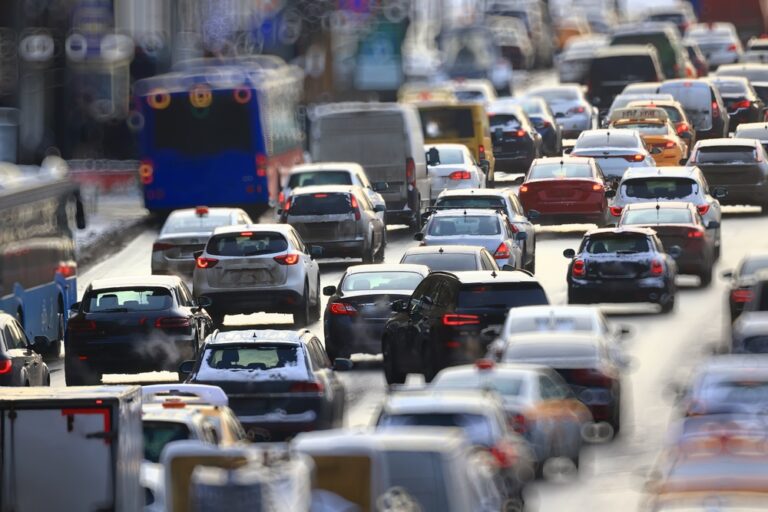 Il rumore del traffico provoca danni permanenti all’uomo e agli animali