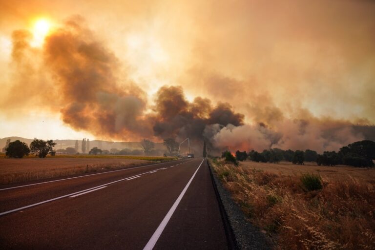 In Italia oltre 700 incendi nel 2025: l’allarme sanitario dell’Istituto Superiore della Sanità