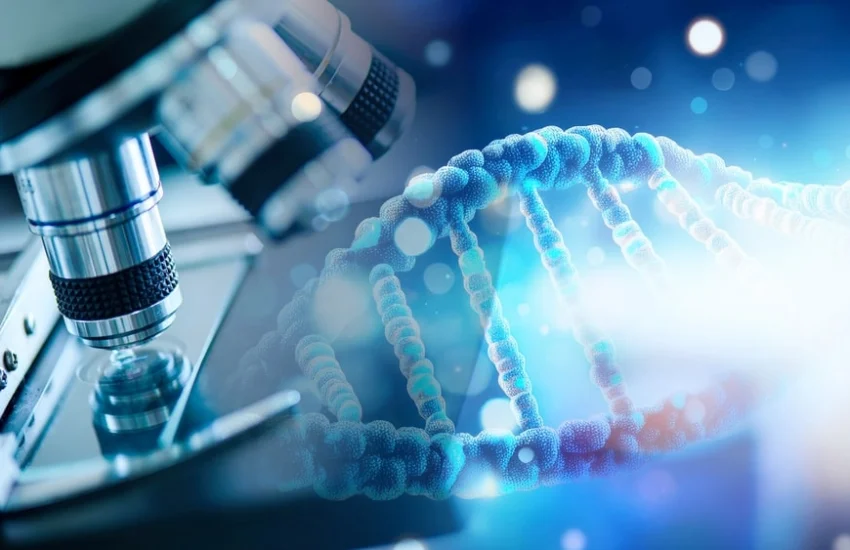 Invecchiamento proteico: il declino inizia a 50 anni