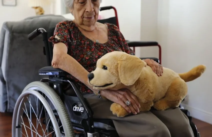 Jennie, il cucciolo robotico che aiuta gli anziani con demenza