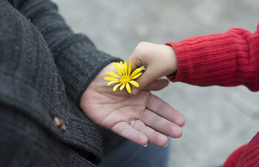 Italia, il Kindness Act vuole portare la gentilezza in Parlamento