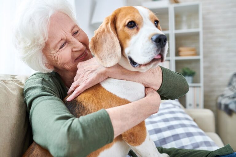 La Giornata mondiale del cane: i benefici di un pet sulla salute