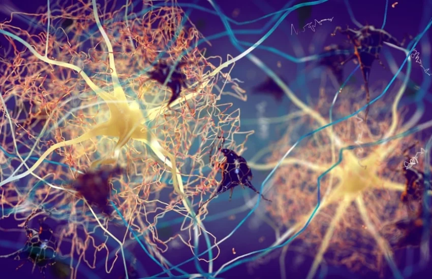 La doppia vita della proteina tau: da alleata a nemica del cervello
