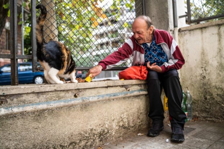 Lav e Comunità di Sant’Egidio insieme per tutelare il legame tra gli anziani e i loro animali